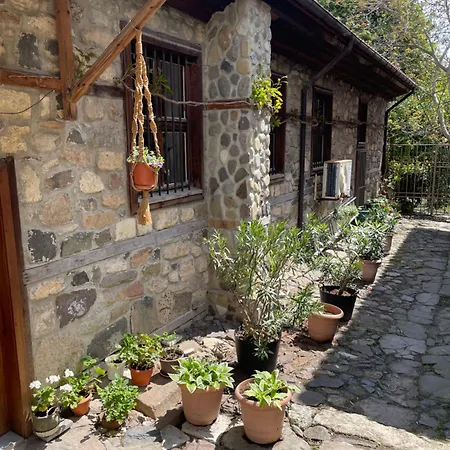 Lion1, Schwarzmeertraum, Stilvoll, 7 Minuten Zum Strand, Wlan Gratis * Burgas City