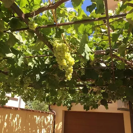 Apartment Lion1, Schwarzmeertraum, Stilvoll, 7 Minuten Zum Strand, Wlan Gratis Burgas City